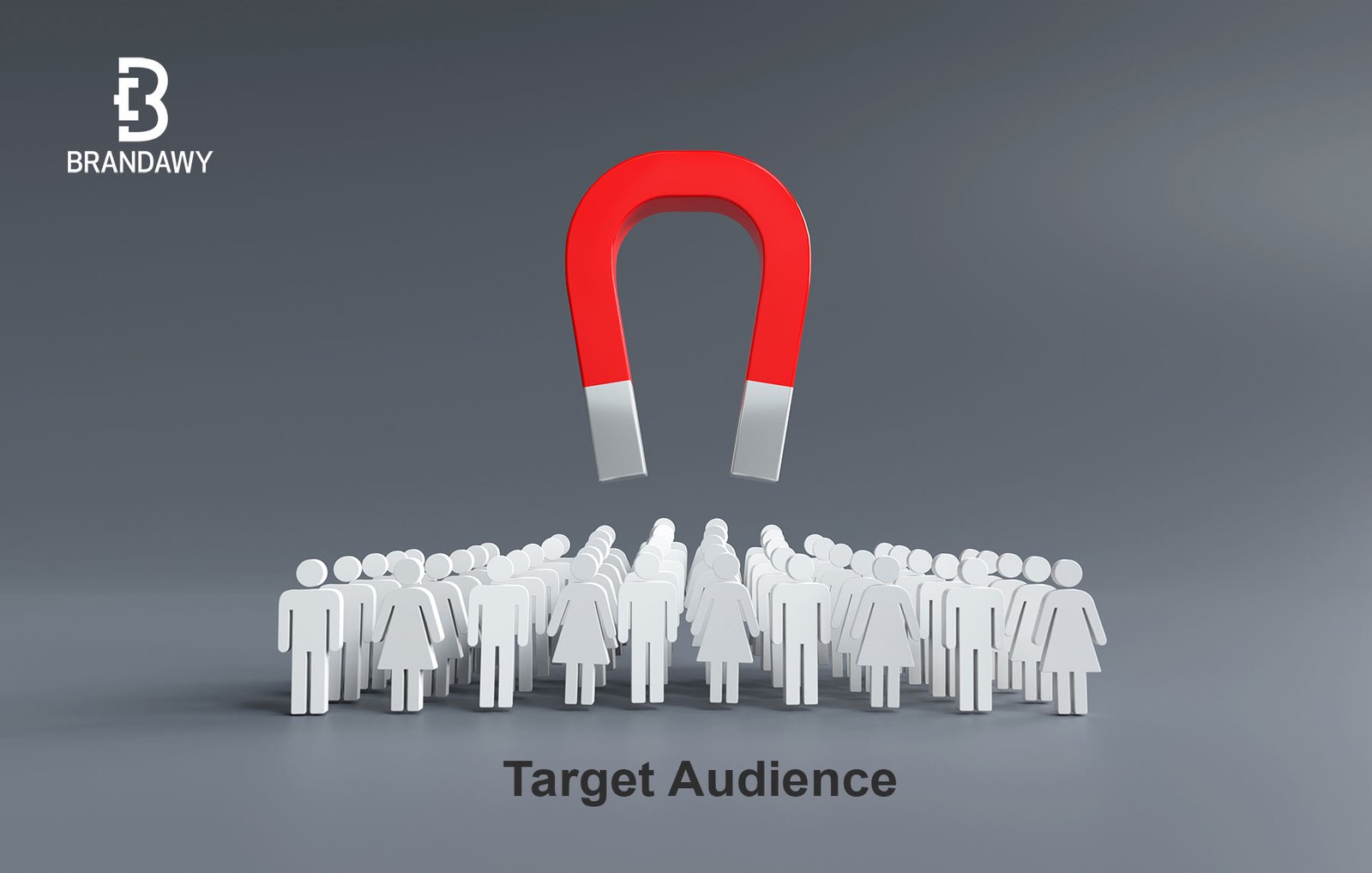 Target Audiences